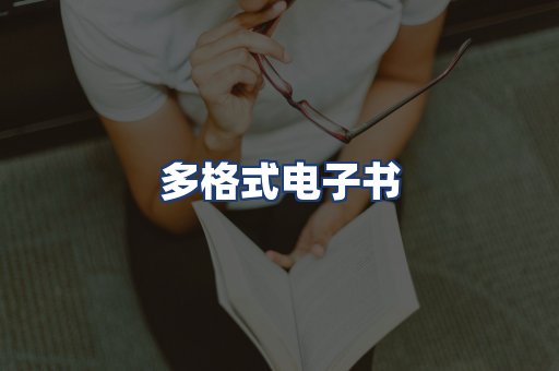 多格式电子书